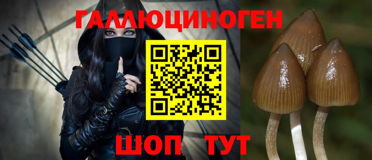 Галлюциногенные грибы Psilocybe Борисоглебск