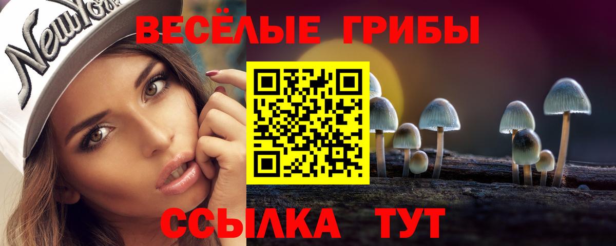 Псилоцибиновые грибы Psilocybe  Вход с VPN  Борисоглебск 